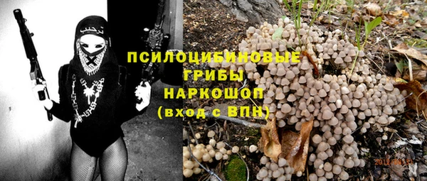 амф Краснослободск